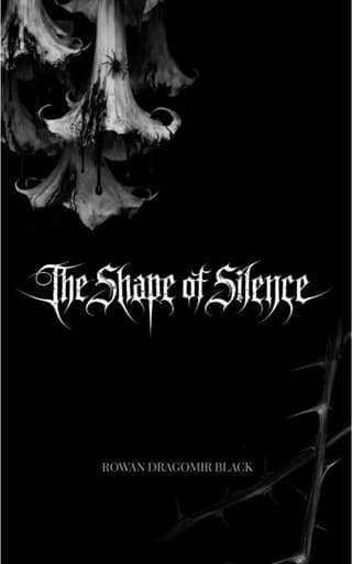 The Shape of Silence by Rowan Dragomir Black