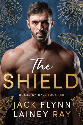 The Shield by Jack Flynn