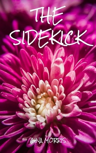 The Sidekick by Gina Morris