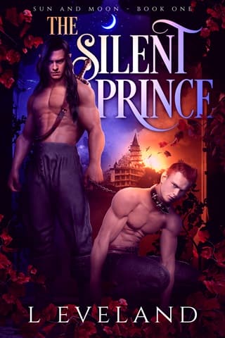 The Silent Prince by L Eveland