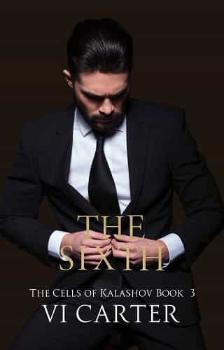 The Sixth by Vi Carter