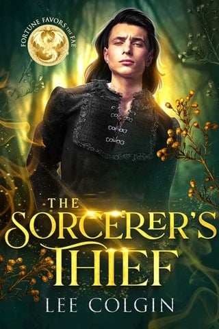 The Sorcerer’s Thief by Lee Colgin