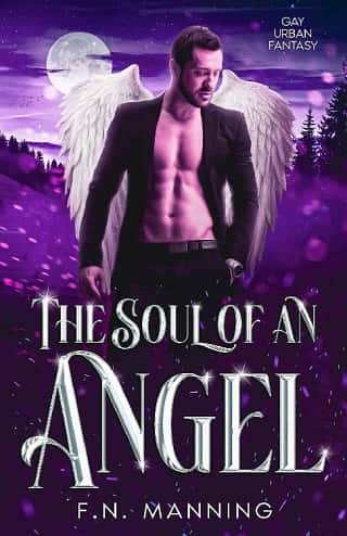 The Soul of an Angel by F.N. Manning
