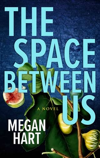 The Space Between Us by Megan Hart