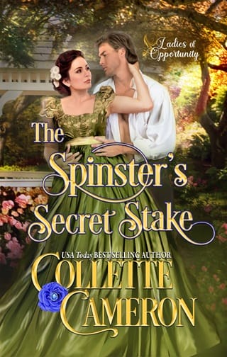 The Spinster’s Secret Stake by Collette Cameron