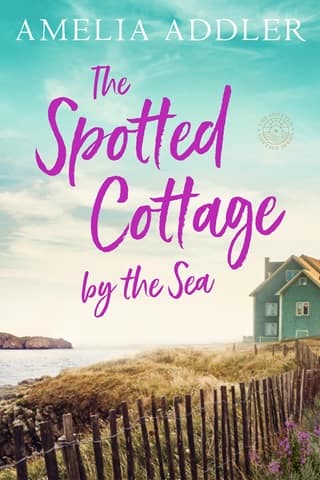 The Spotted Cottage By the Sea by Amelia Addler