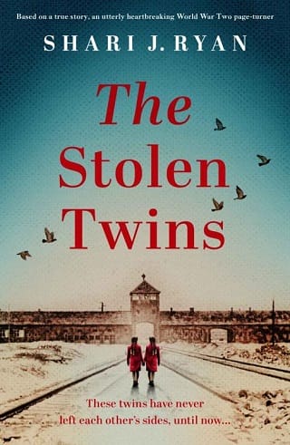 The Stolen Twins by Shari J. Ryan
