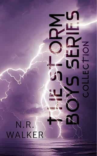 The Storm Boys Series Collection by N.R. Walker online free at Epub