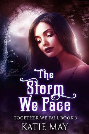 The Storm We Face by Katie May