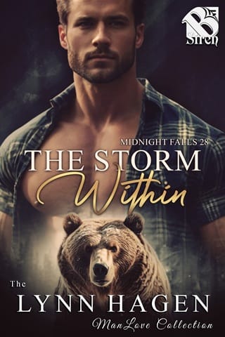 The Storm Within by Lynn Hagen