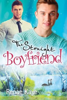 The Straight Boyfriend by Renae Kaye