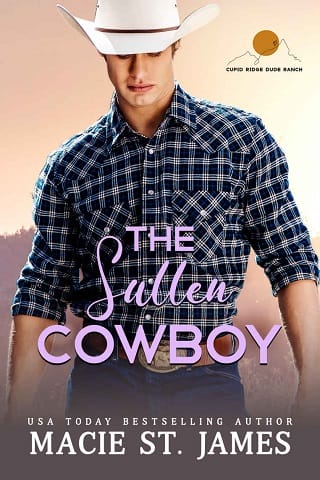 The Sullen Cowboy by Macie St. James