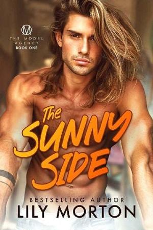 The Sunny Side by Lily Morton