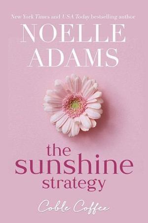 The Sunshine Strategy by Noelle Adams