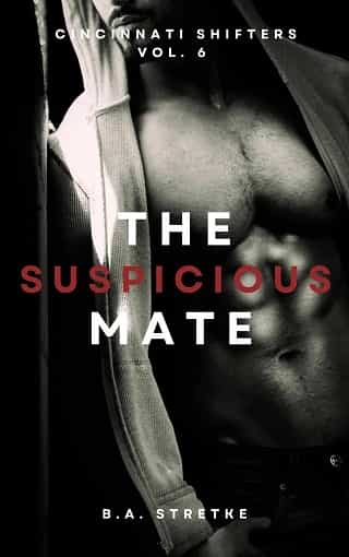 The Suspicious Mate by B.A. Stretke