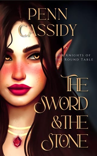 The Sword & the Stone by Penn Cassidy