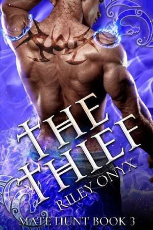 The Thief by Riley Onyx