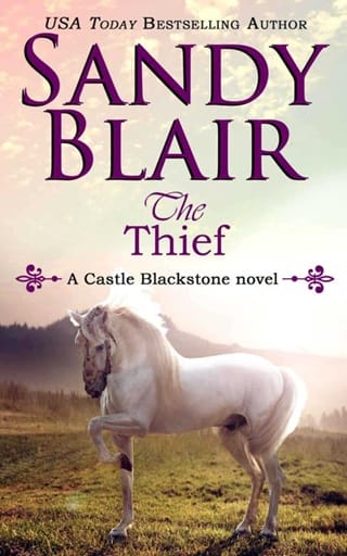 The Thief by Sandy Blair