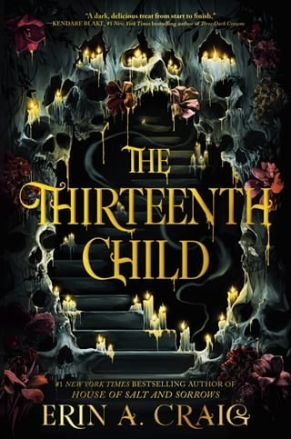 The Thirteenth Child by Erin A. Craig