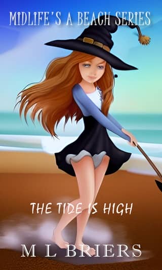 The Tide is High by M L Briers