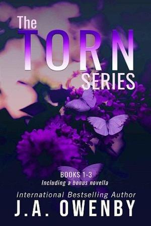 The Torn Series Boxset by J.A. Owenby