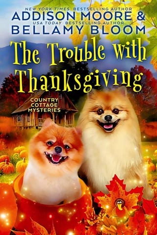 The Trouble with Thanksgiving by Addison Moore