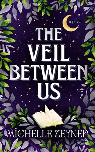 The Veil Between Us by Michelle Zeynep