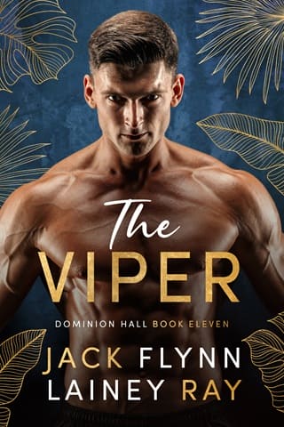 The Viper by Jack Flynn
