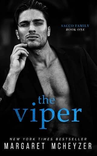 The Viper by Margaret McHeyzer