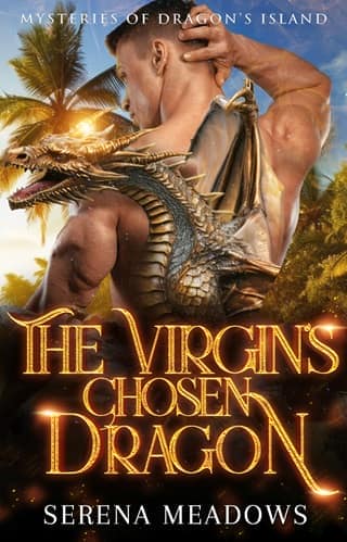 The Virgin’s Chosen Dragon by Serena Meadows