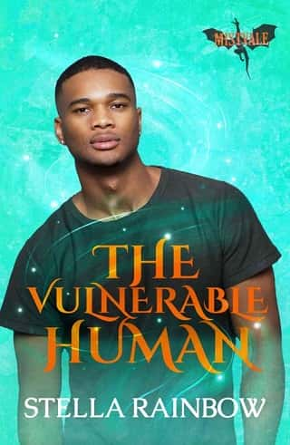 The Vulnerable Human by Stella Rainbow