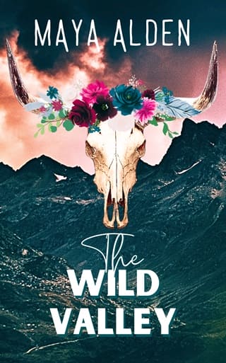 The Wild Valley by Maya Alden