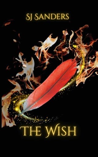 The Wish by SJ Sanders