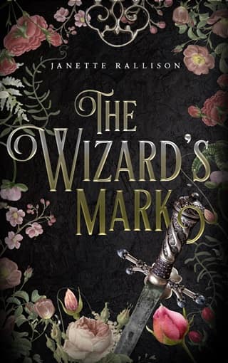 The Wizard’s Mark by Janette Rallison