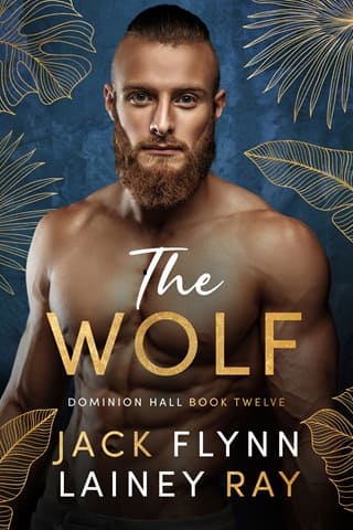 The Wolf by Jack Flynn