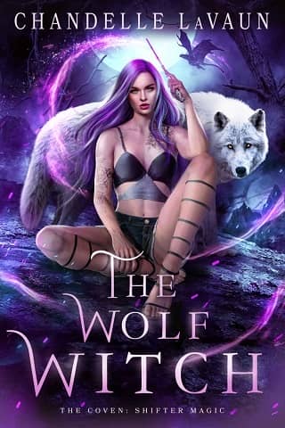 The Wolf Witch by Chandelle LaVaun