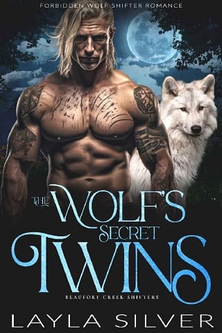 The Wolf’s Secret Twins by Layla Silver