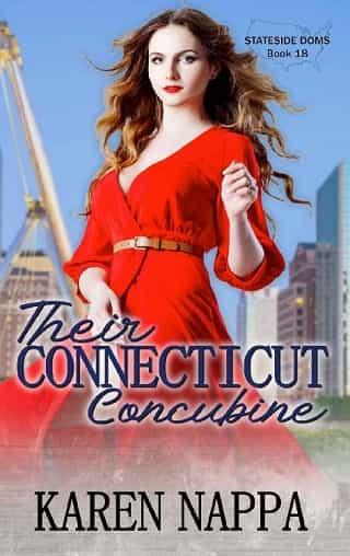 Their Connecticut Concubine by Karen Nappa