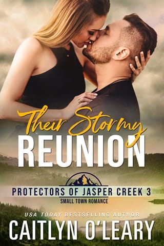 Their Stormy Reunion by Caitlyn O’Leary