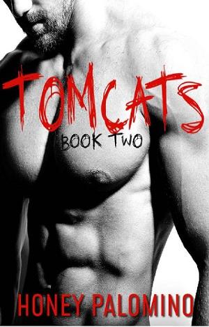 Tomcats #2 by Honey Palomino