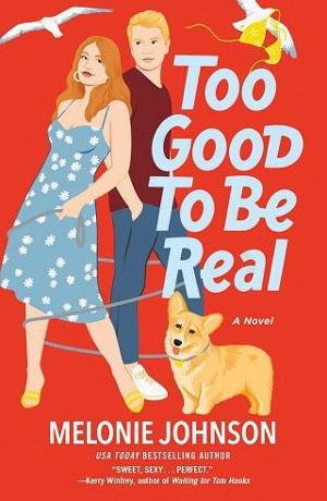 too good to be true book read online free