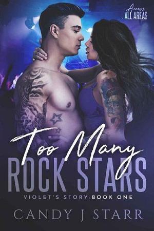 Too Many Rock Stars by Candy J Starr