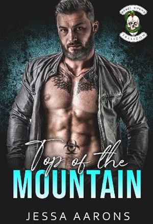 Top of the Mountain by Jessa Aarons