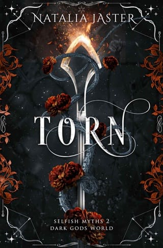 Torn by Natalia Jaster