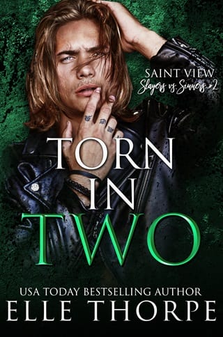 Torn In Two by Elle Thorpe