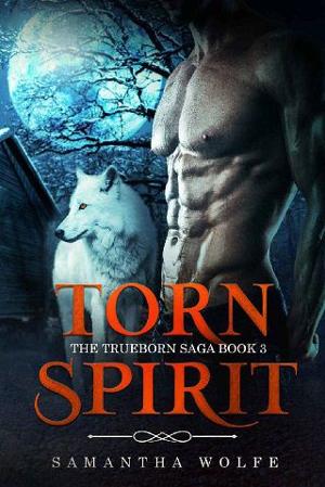 Torn Spirit by Samantha Wolfe
