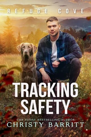 Tracking Safety by Christy Barritt