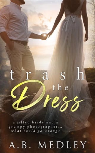 Trash the Dress by A.B. Medley