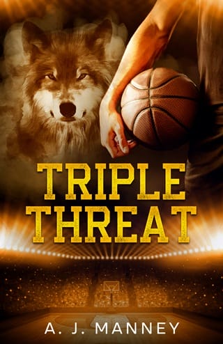 Triple Threat by A. J. Manney