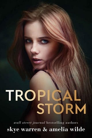 Tropical Storm by Skye Warren